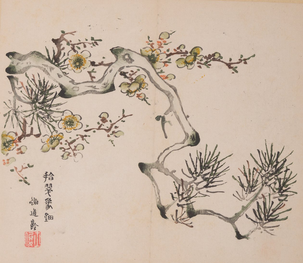 石竹斋的页面。 作者 不明