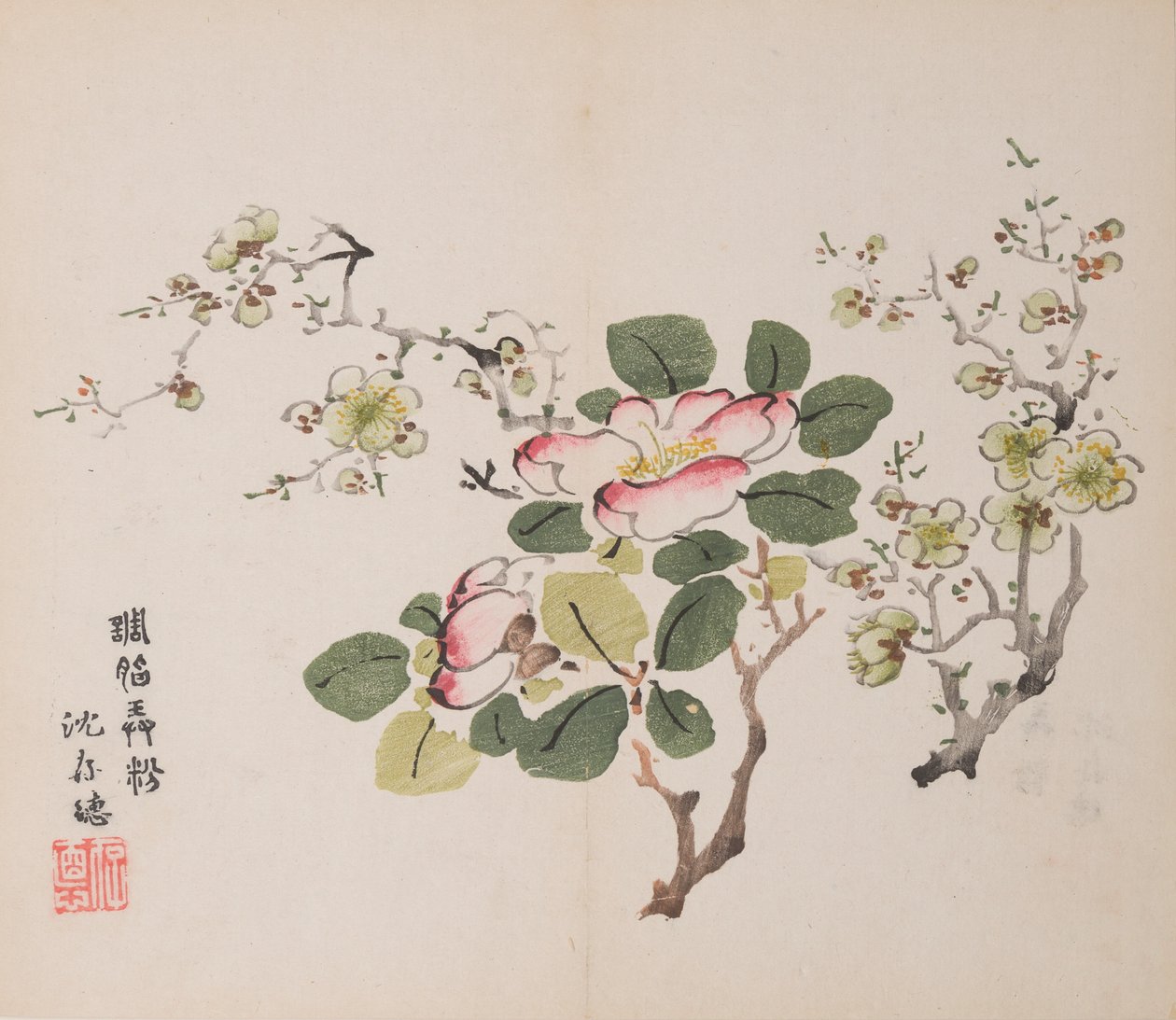 石竹斋的页面。 作者 不明