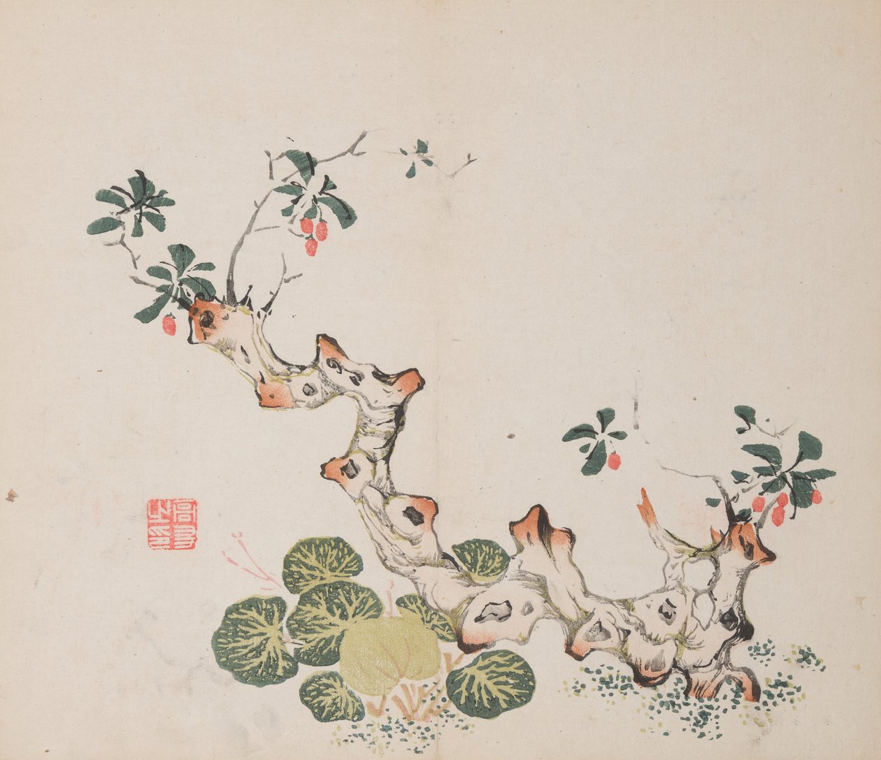 石竹斋的页面。 作者 不明