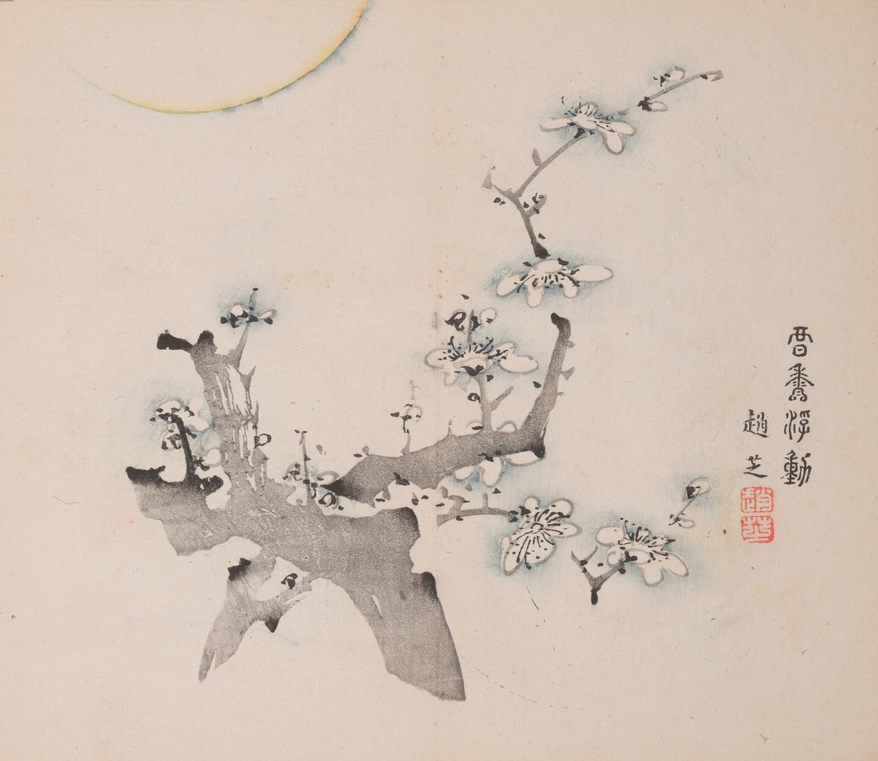 石竹斋的页面。 作者 不明