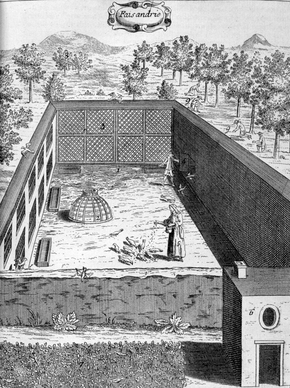 胸甲，1775年 作者 不明