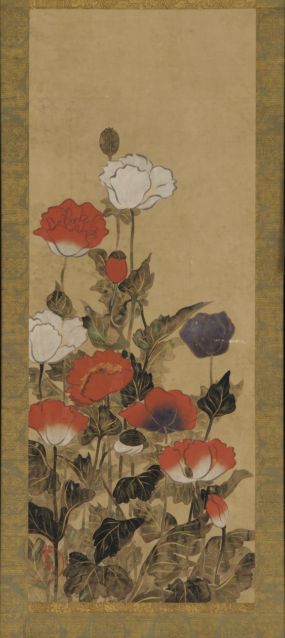 罂粟花，江户时期，17世纪末至19世纪末。 作者 不明