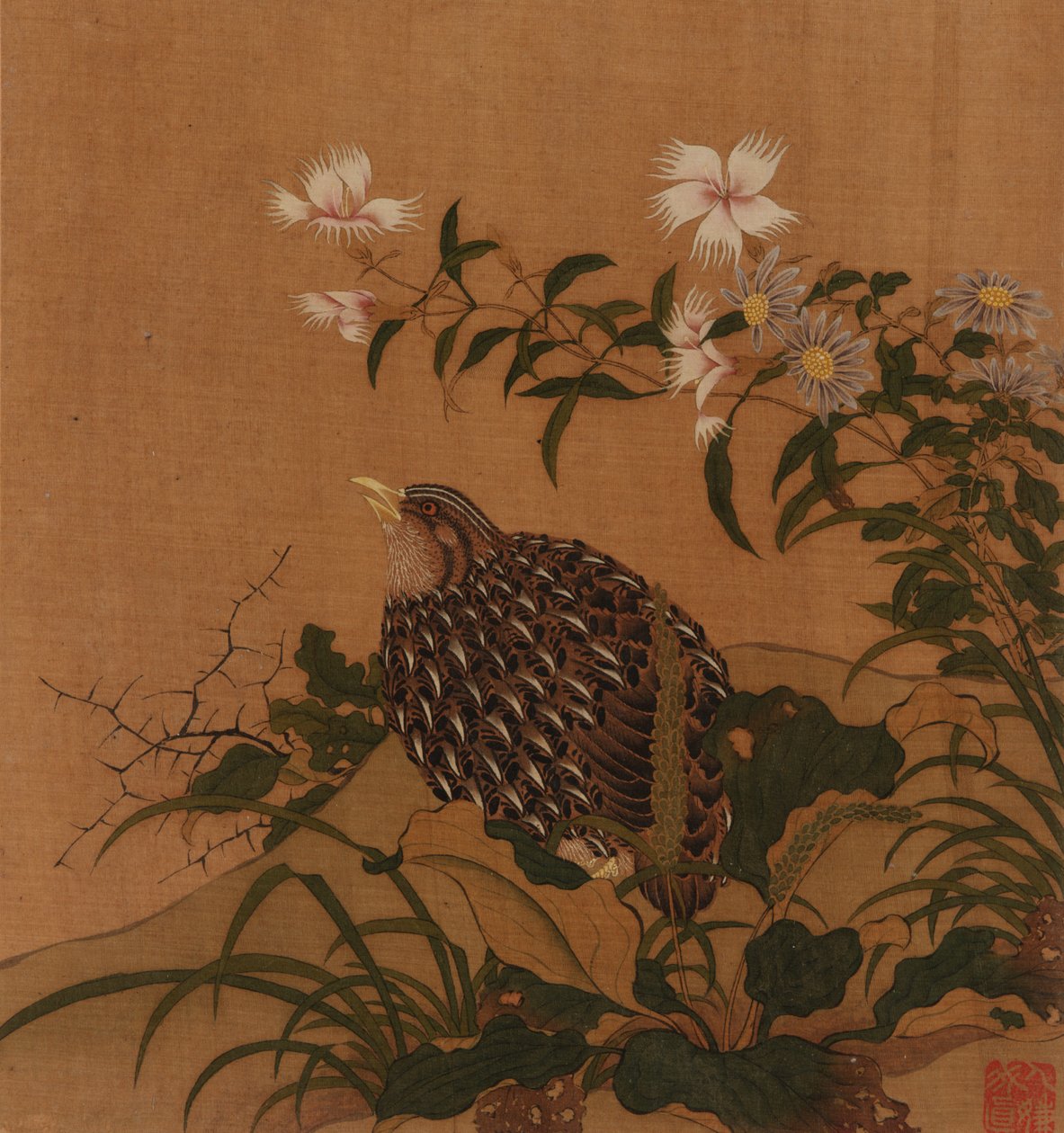 鹌鹑和花，清朝，18世纪。 作者 不明
