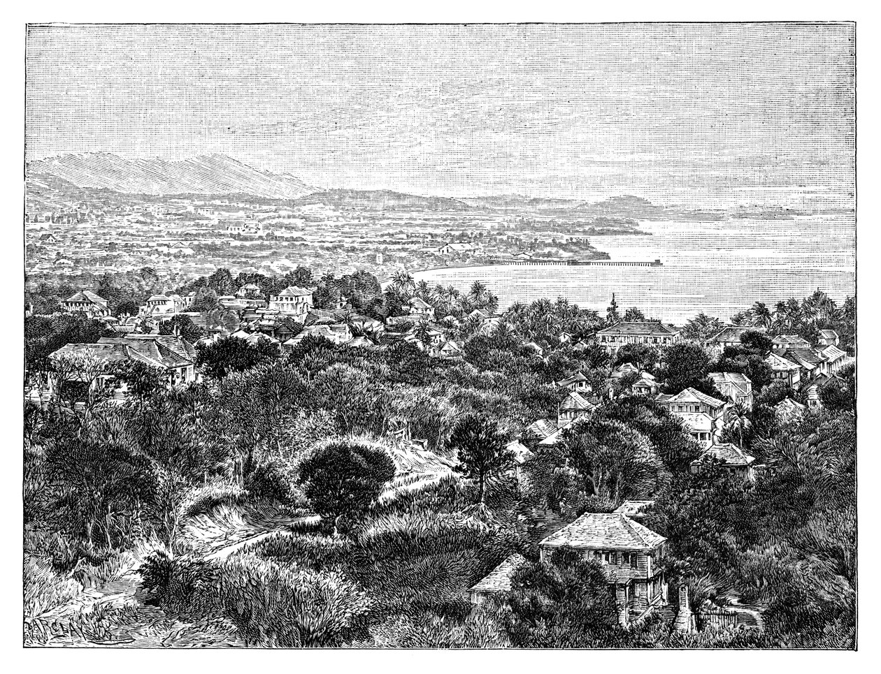 圣克鲁斯岛（c1890） 作者 不明