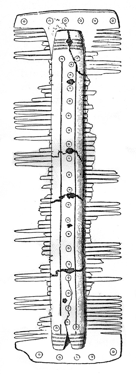 撒克逊梳子，1910年 作者 不明