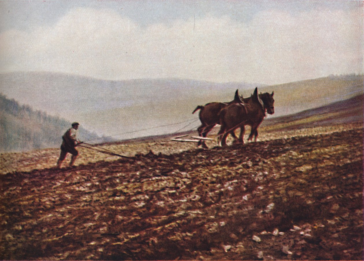 苏格兰，c1930年代 作者 不明