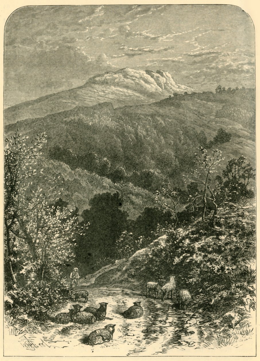 牧羊人，1898年。 作者 不明