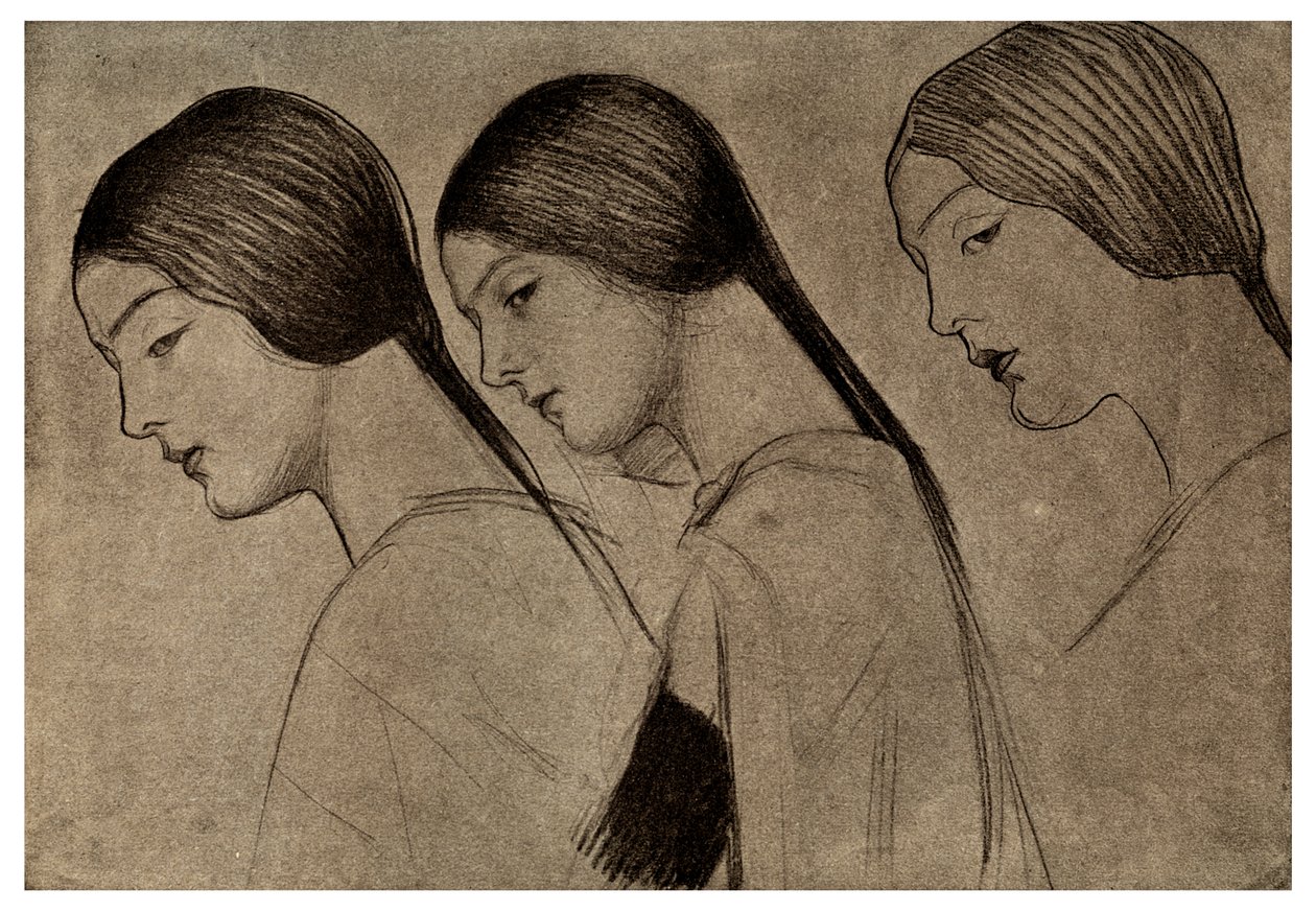 研究，1901年 作者 不明
