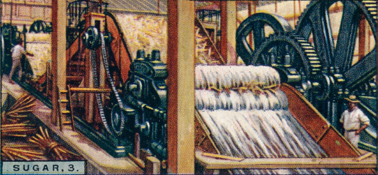 糖，3。粉碎手杖，爪哇，1928年 作者 不明