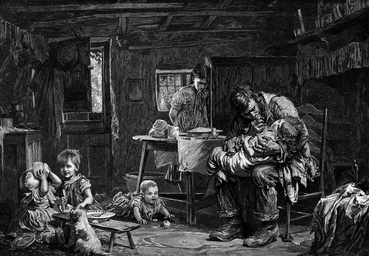 Wi夫，1882年 作者 不明