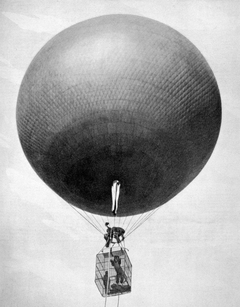 狮子航空兵，1903年 作者 不明