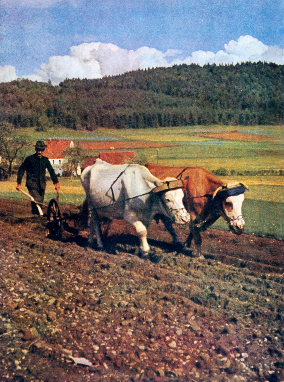 1943年，德国蒂林 作者 不明