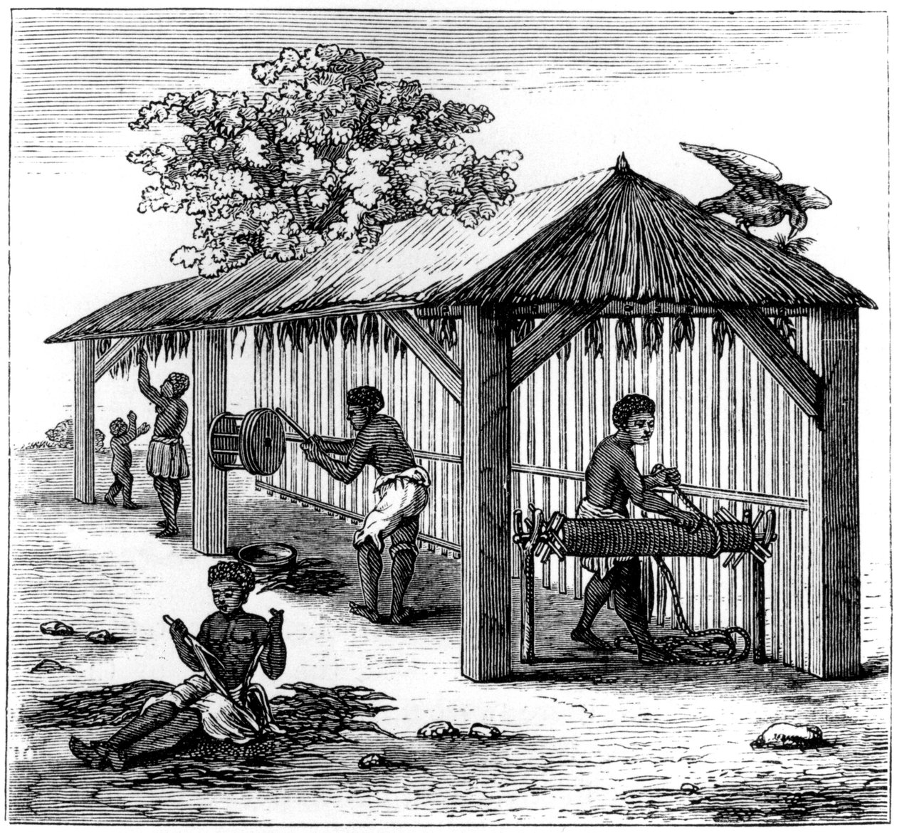 烟草制品，1873年 作者 不明