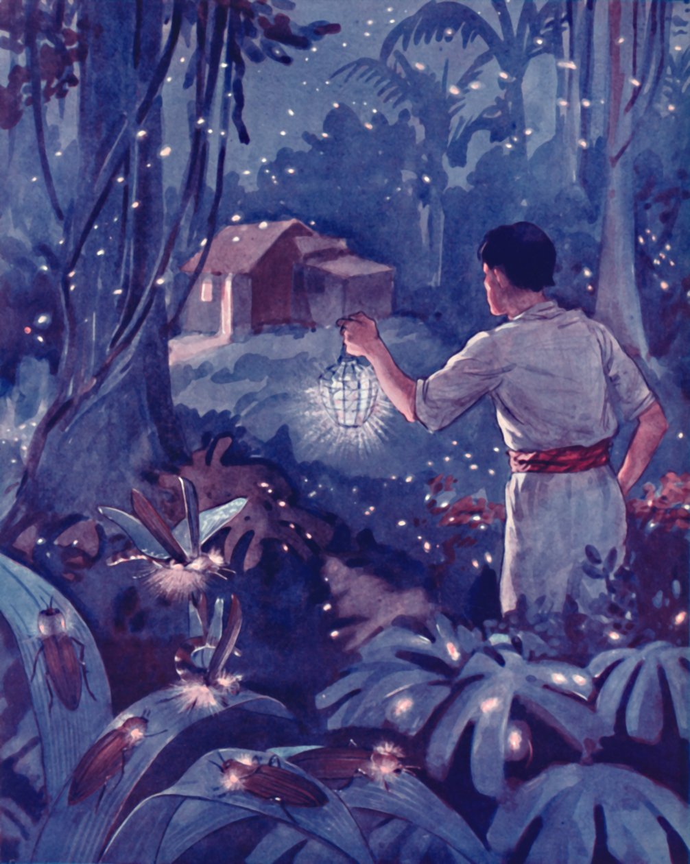 热带萤火虫作为光的跳舞点，1935年 作者 不明
