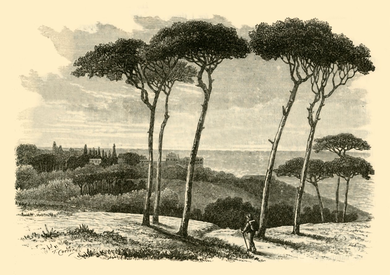 Tusculum，1890年。 作者 不明