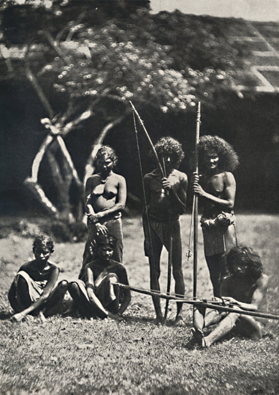 韦达（Wedda），1926年 作者 不明