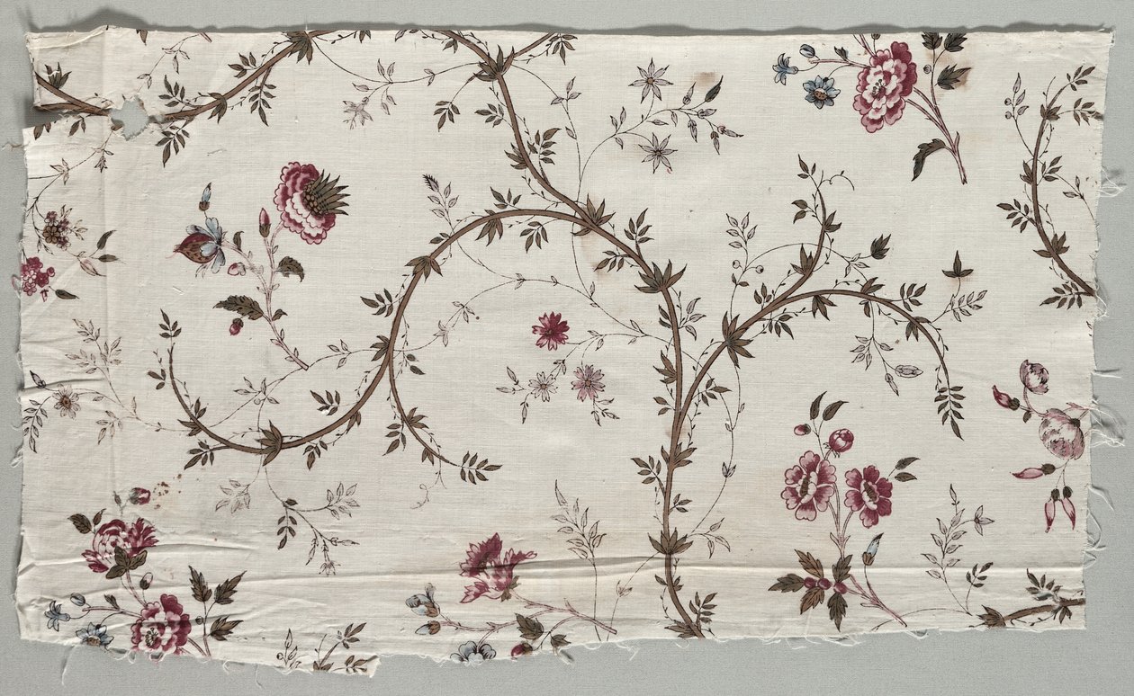 木版印刷的棉花碎片，1785年。 作者 不明