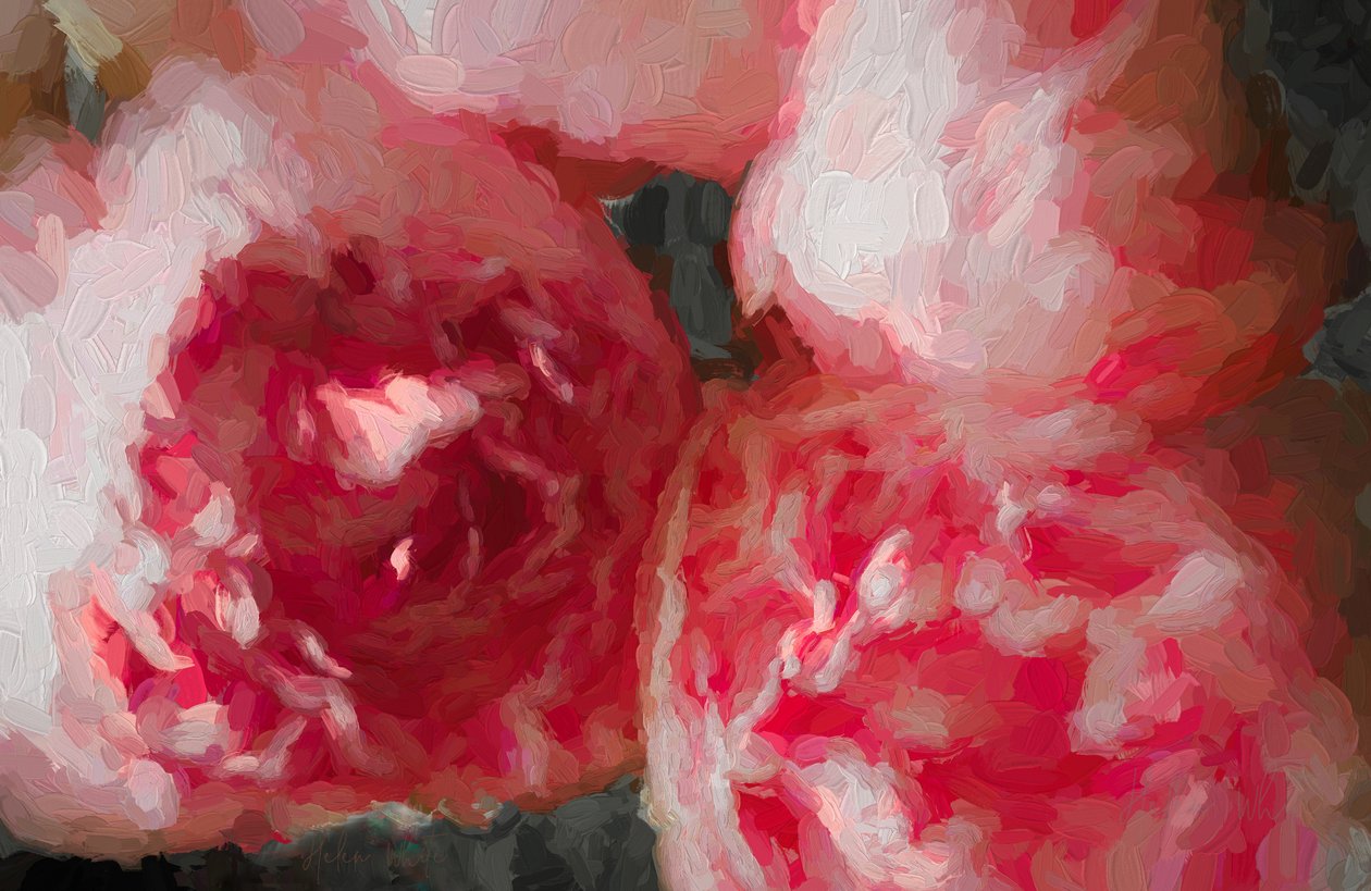 Pink Peonies，2018， 作者 未知未知