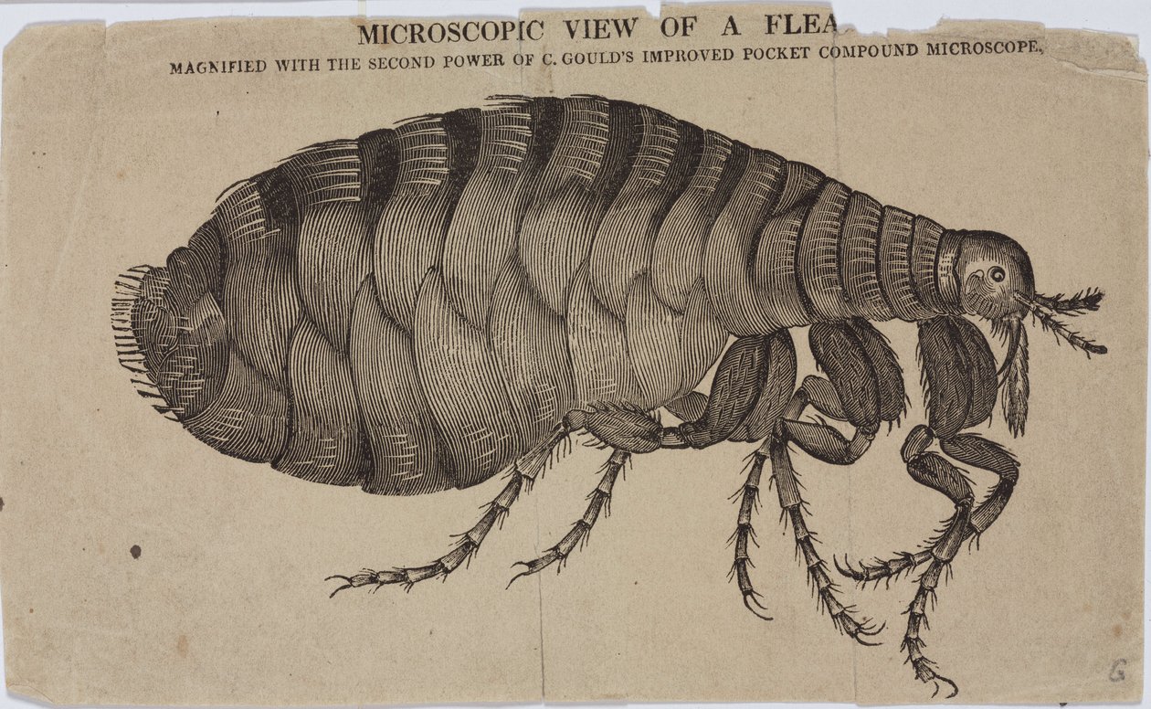 Microscopy 作者 不明