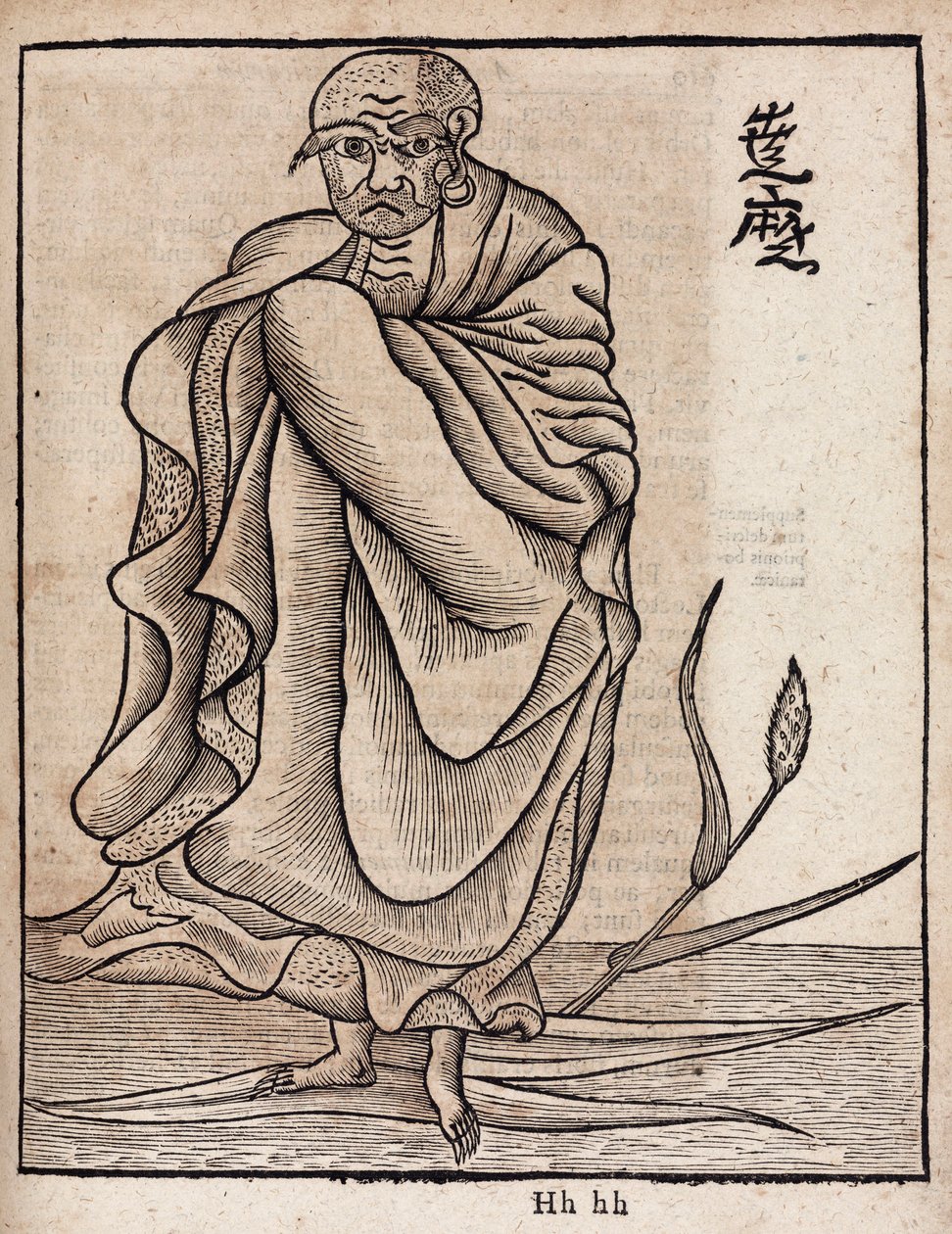 达摩画像 (v 作者 不明