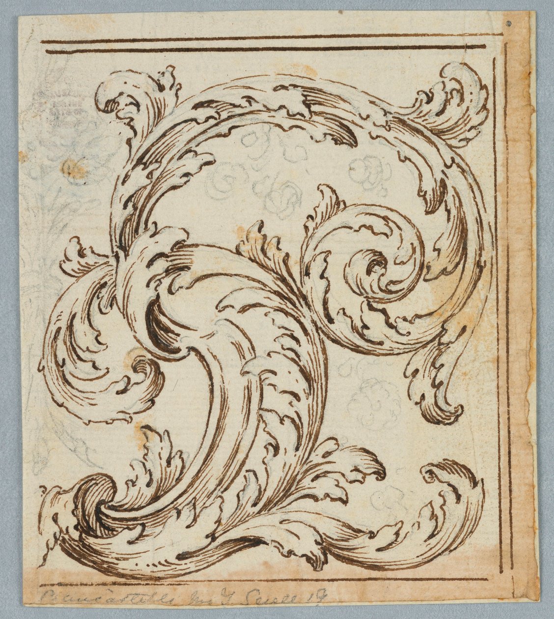 绘画，Rinceau设计，1725-1750 作者 不明