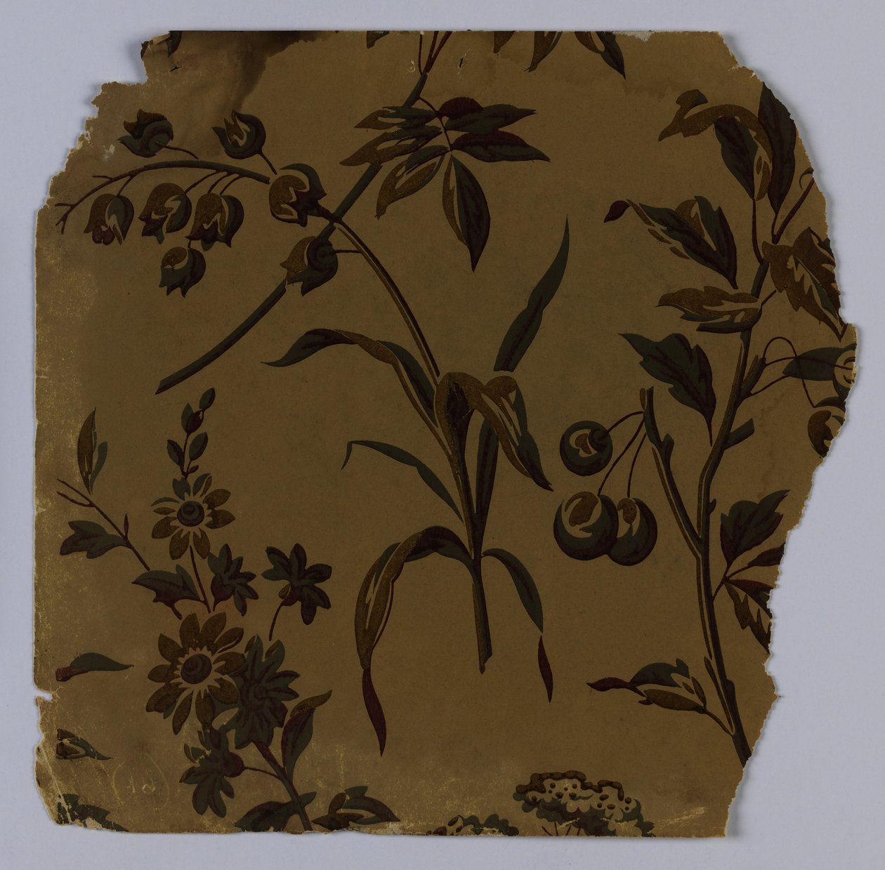 侧壁样品，1880-90 作者 不明