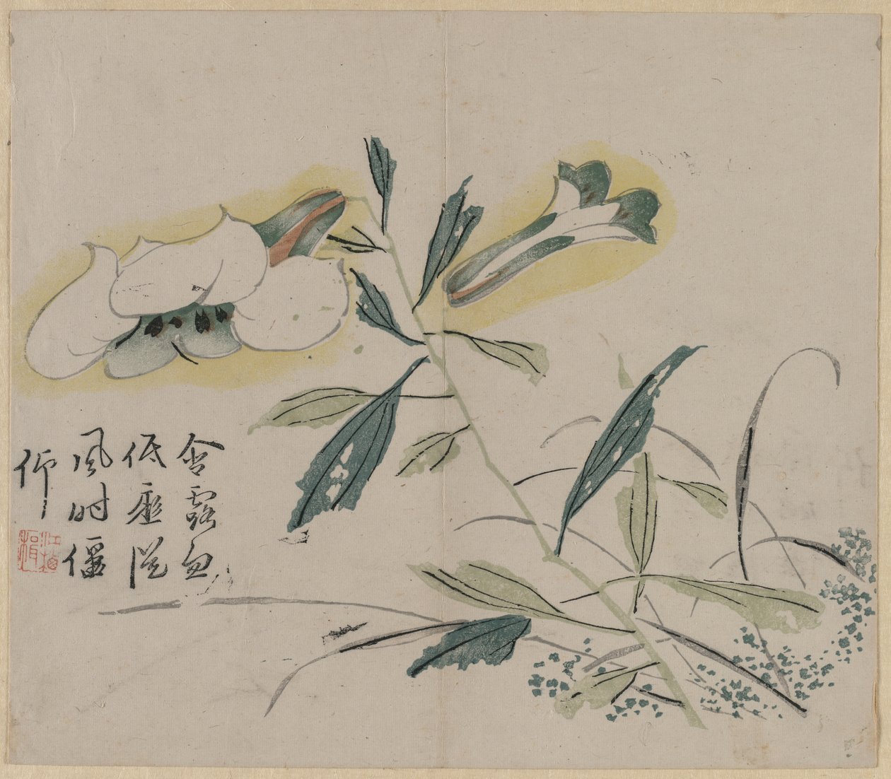 百合花 作者 未知艺术家
