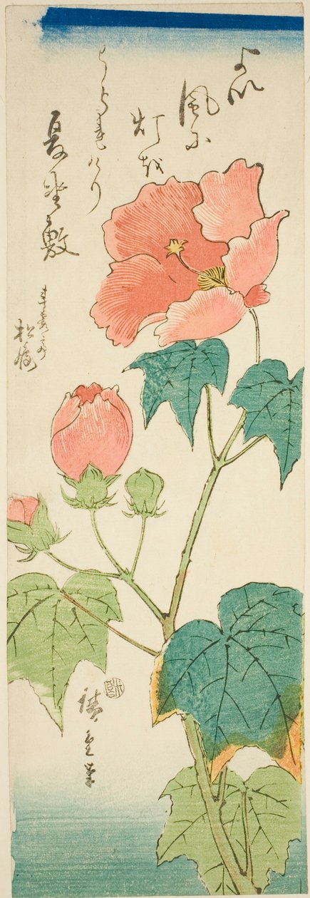 木槿花 作者 歌川宏重