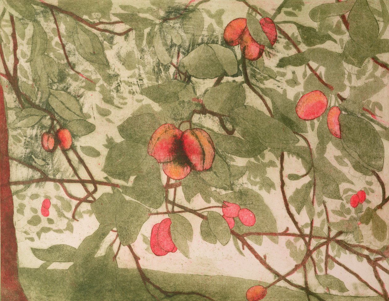 李子（打印） 作者 瓦莱丽·丹尼尔（Valerie Daniel）