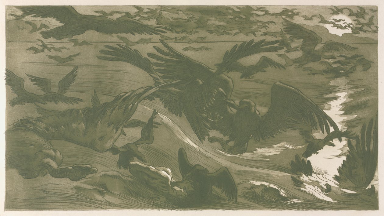 猛禽，1893年。 作者 Victor Emile证明