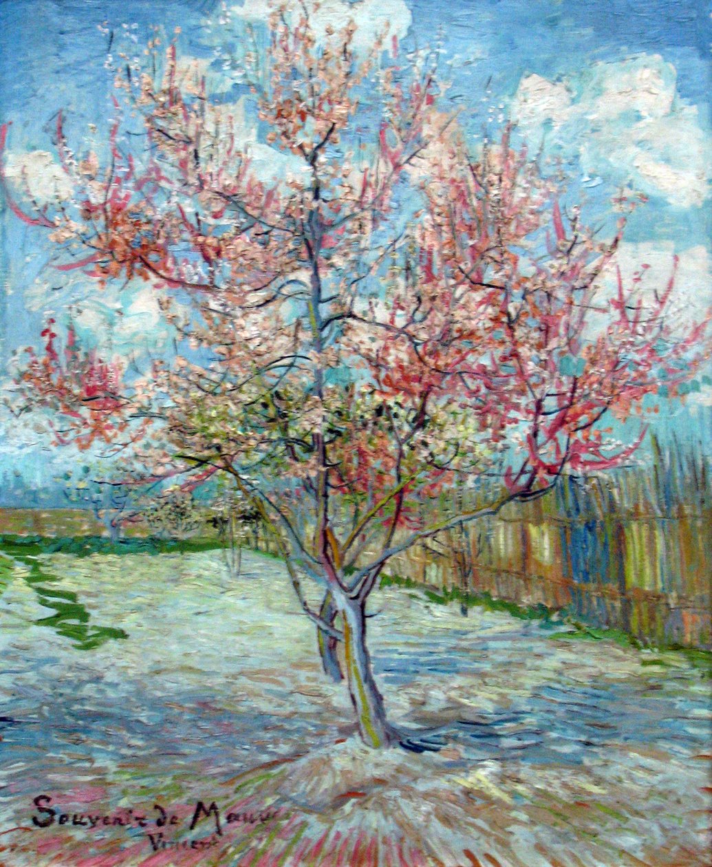 RosaPfirsichbäume（Souveir de Mauve） 作者 文森特·梵高