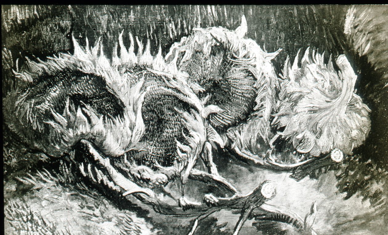 AB威格曼 作者 文森特·梵高