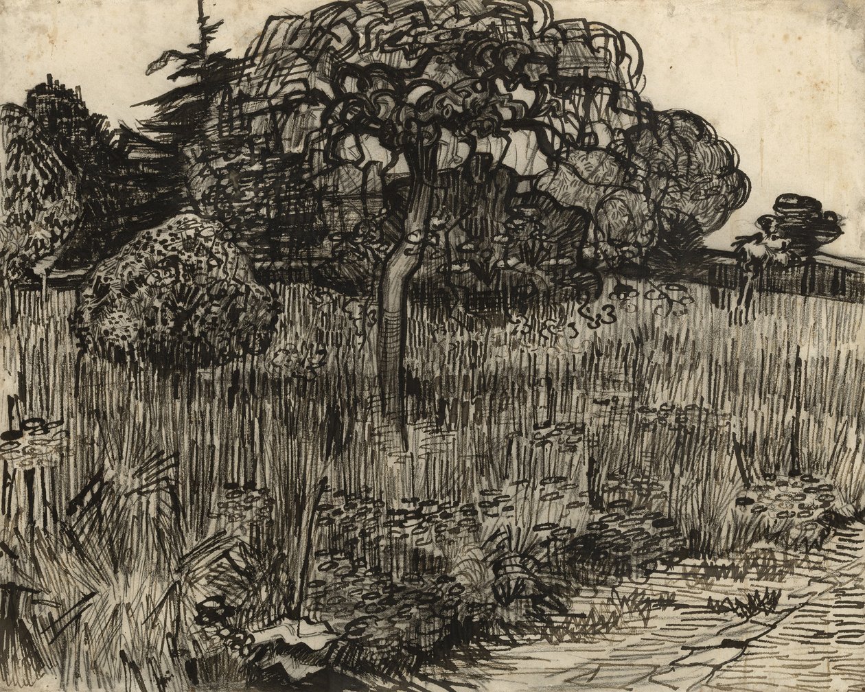 哭泣的树，1889年 作者 文森特·梵高