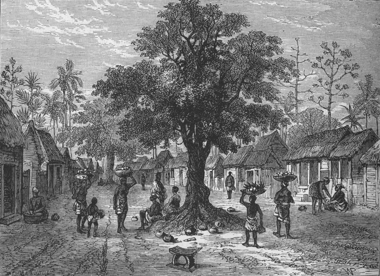 Amoaful"，约1880年 作者 可湿性粉剂