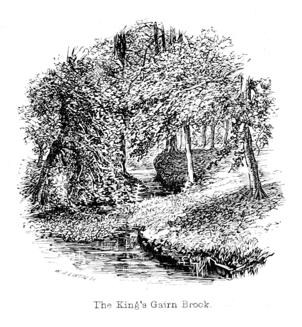 国王Gairn Brook 作者 沃尔特克兰