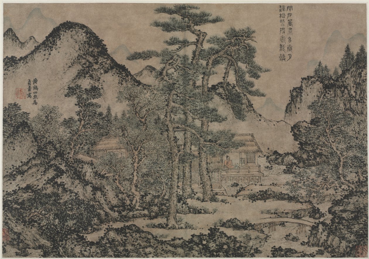 在松树下写书 作者 王萌