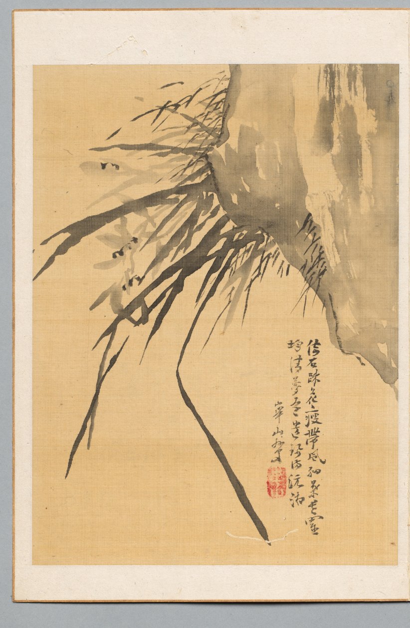 兰花，十九世纪。 作者 渡边华山