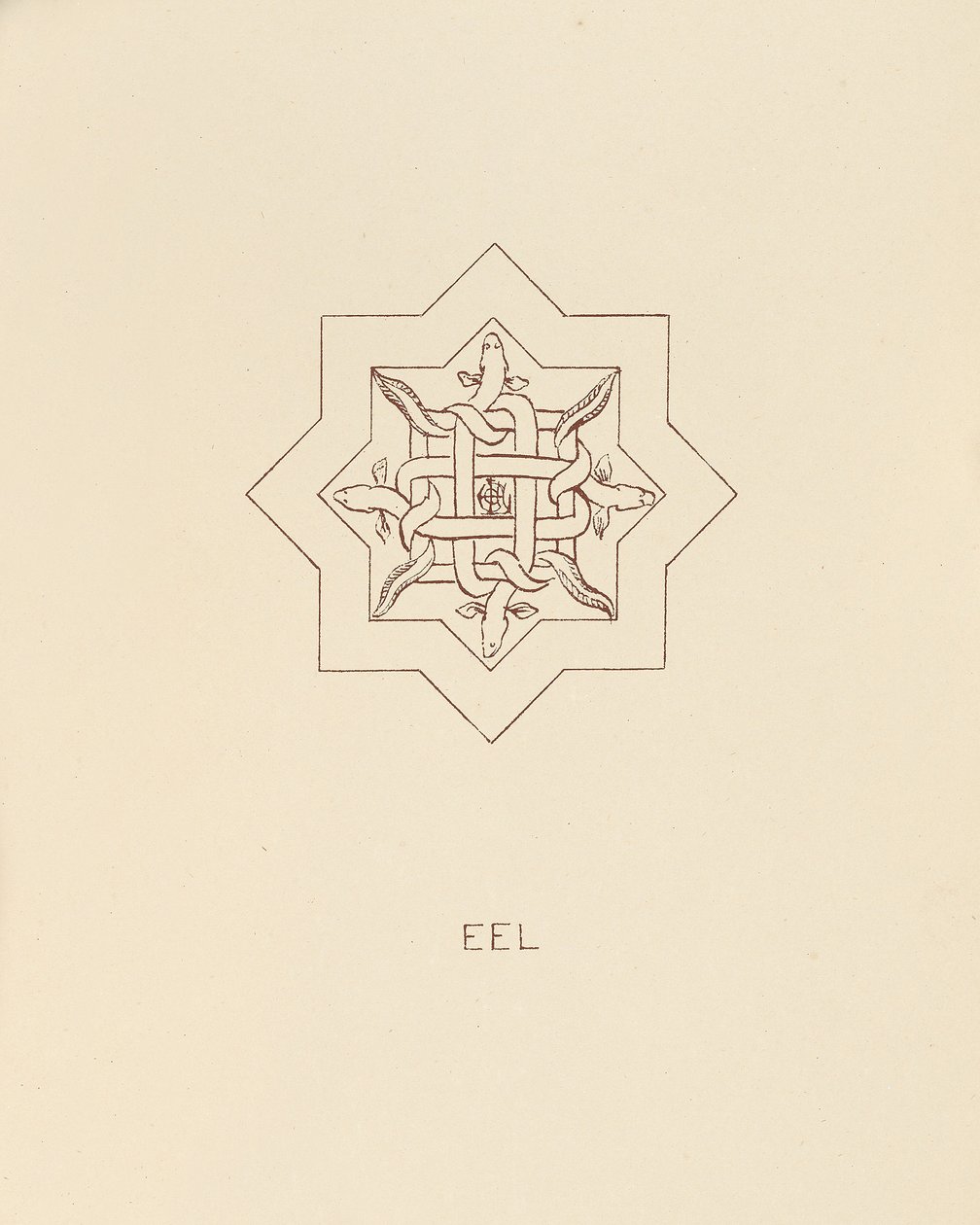 鳗鱼，1878年 作者 威廉·伯吉斯