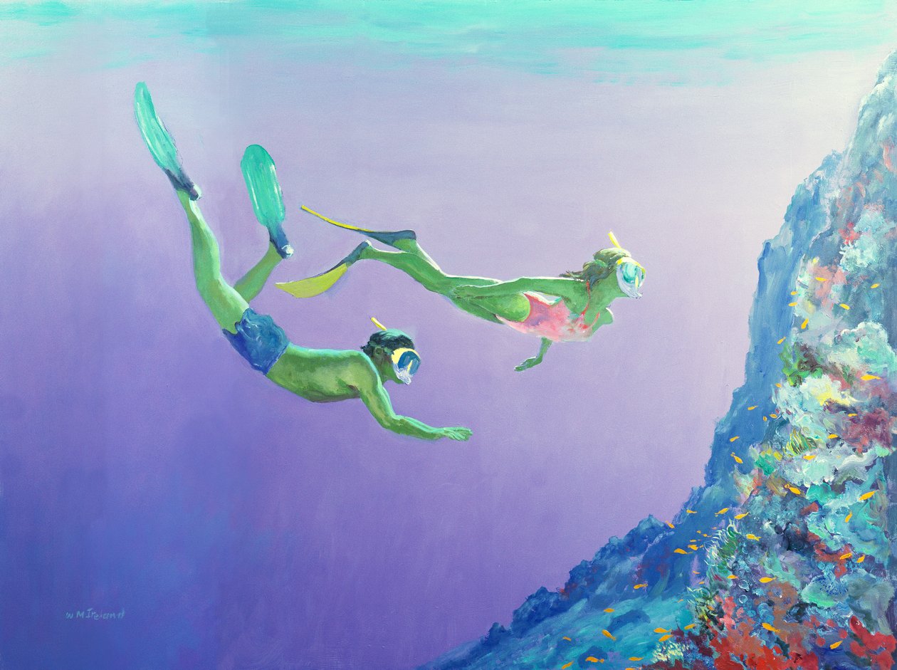Snorklers 作者 威廉·爱尔兰