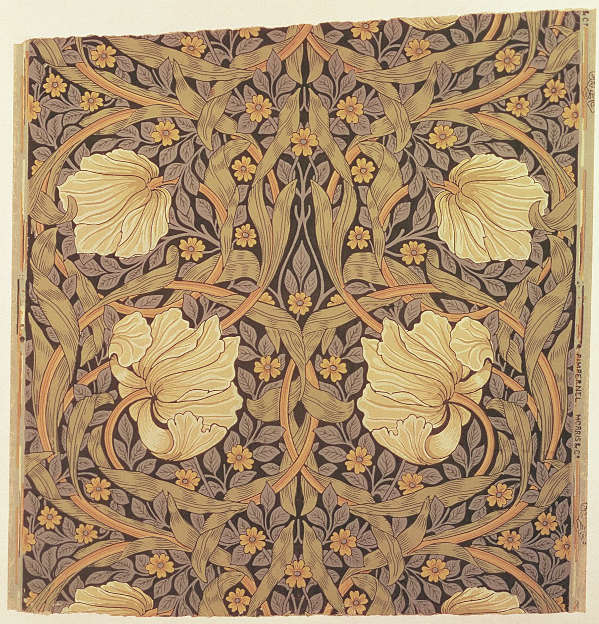 &39;Pimpernel&39;壁纸设计，1876年 作者 威廉·莫里斯