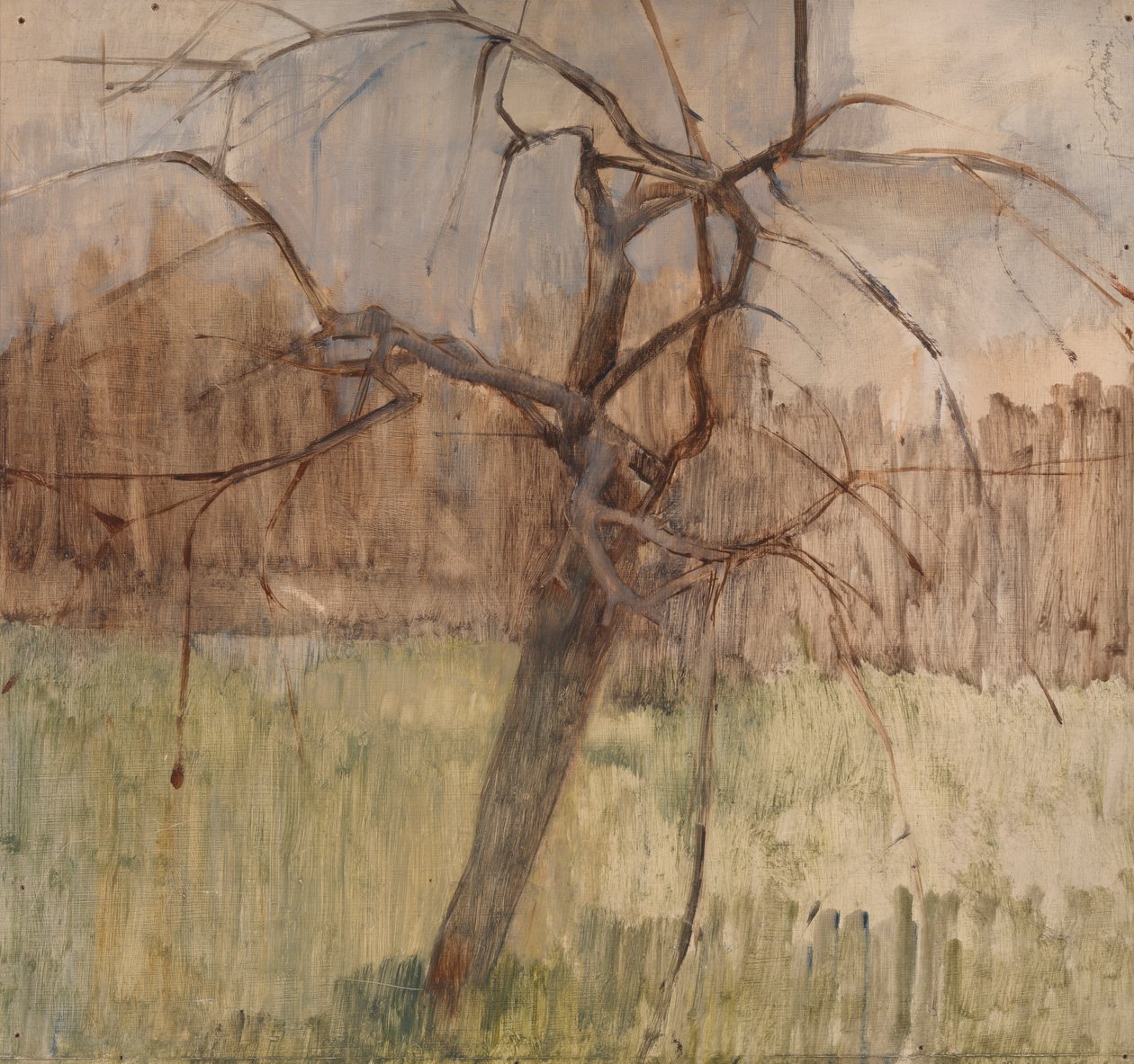 Apple Tree，1963 作者 威廉·帕克