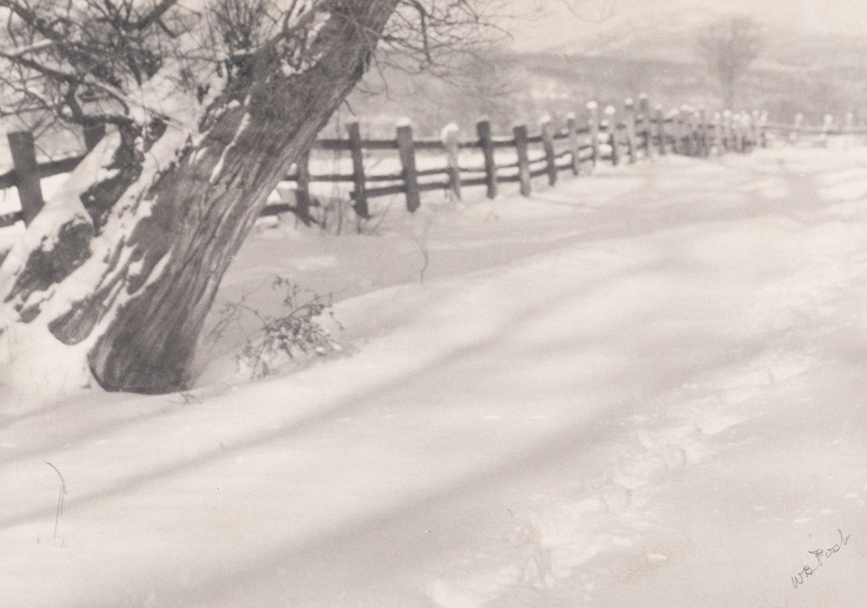 雪中之路 作者 威廉·B·波斯特