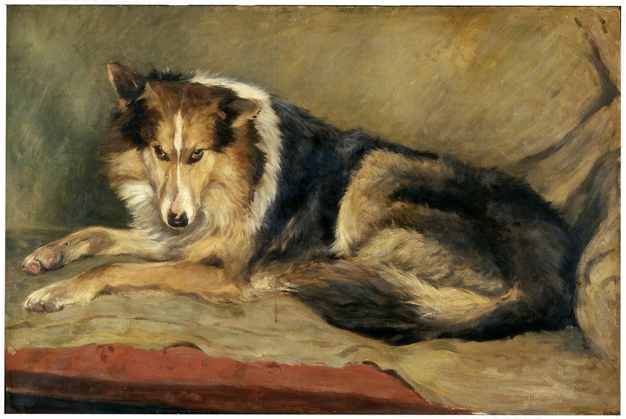 牧羊犬 作者 威廉·亨利·查尔顿