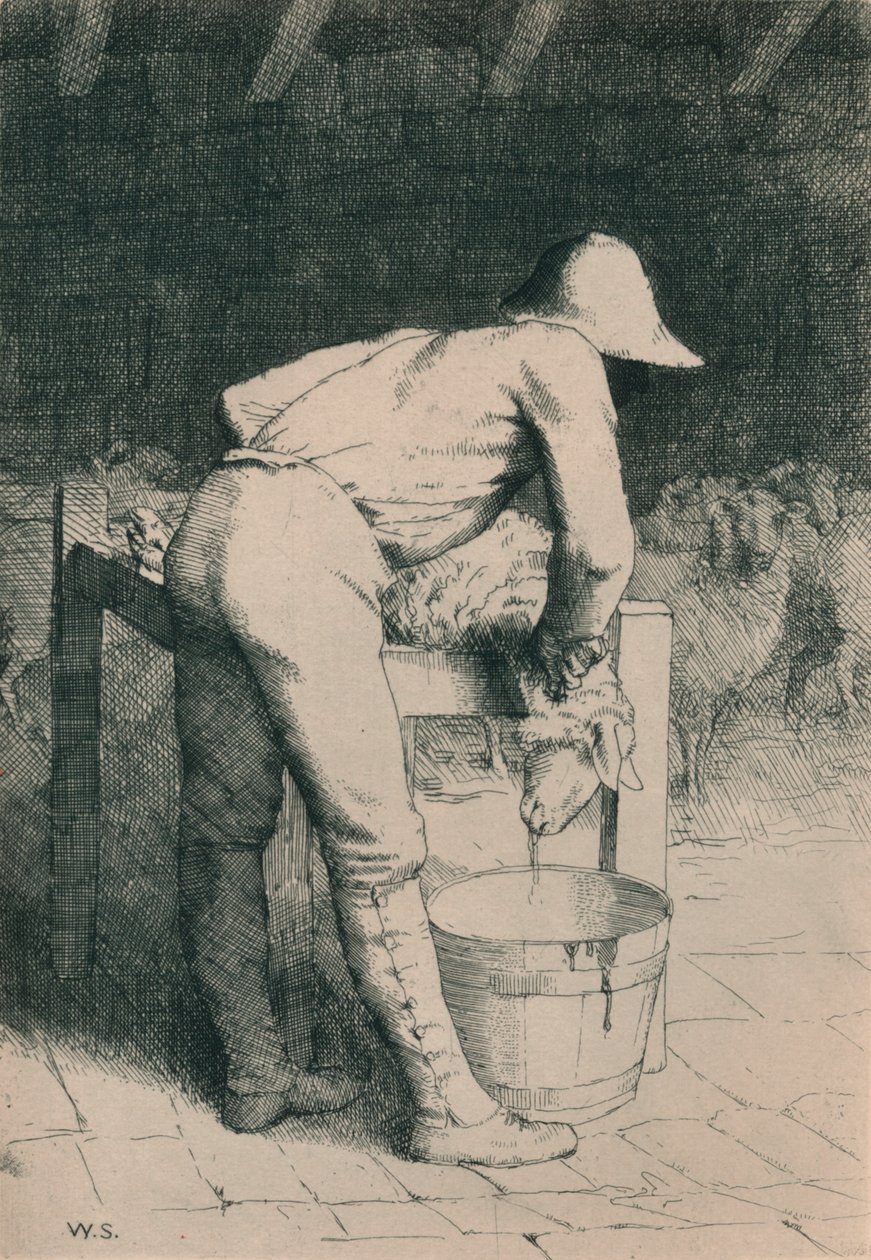 屠夫与羊，c1916 作者 威廉·斯特兰德