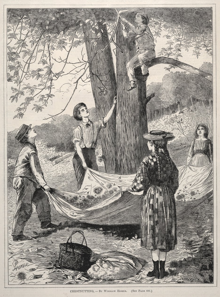 栗子山，1870年。 作者 温斯洛·荷马