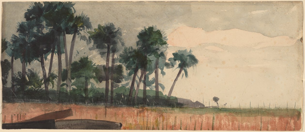 棕榈树，红色，1890年。 作者 温斯洛·荷马