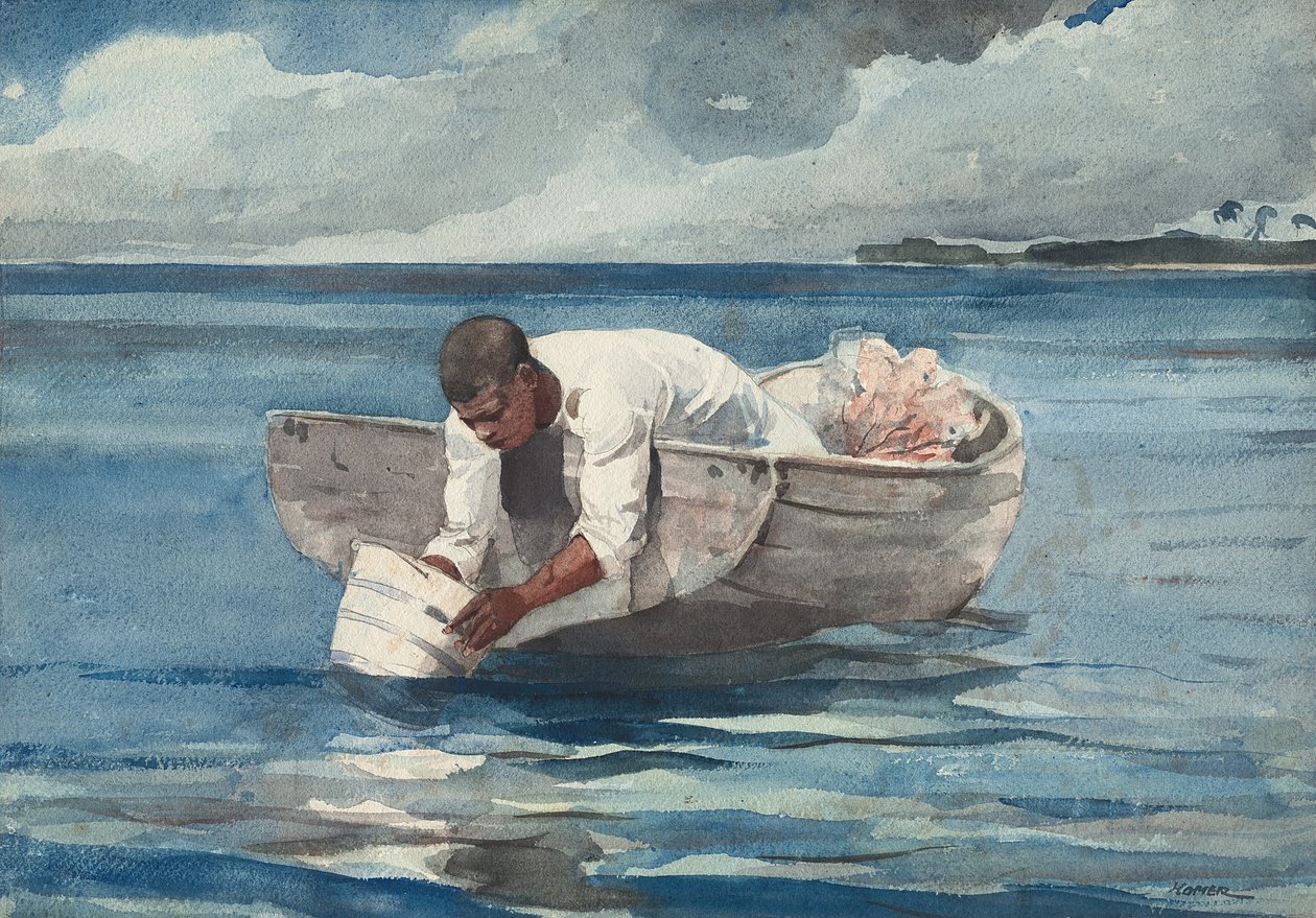 水扇，1898-99年 作者 温斯洛·荷马