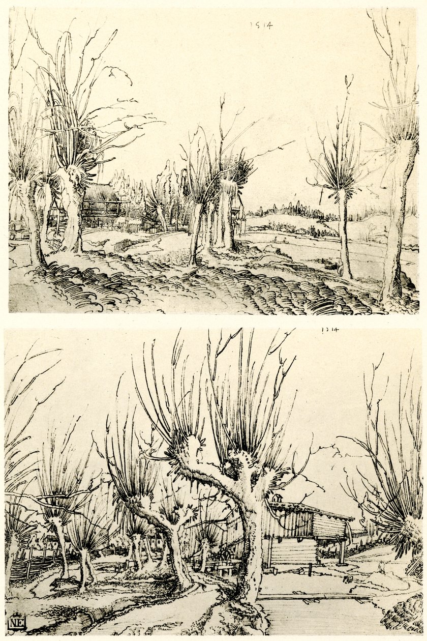 与柳树的风景 作者 沃尔夫·胡伯