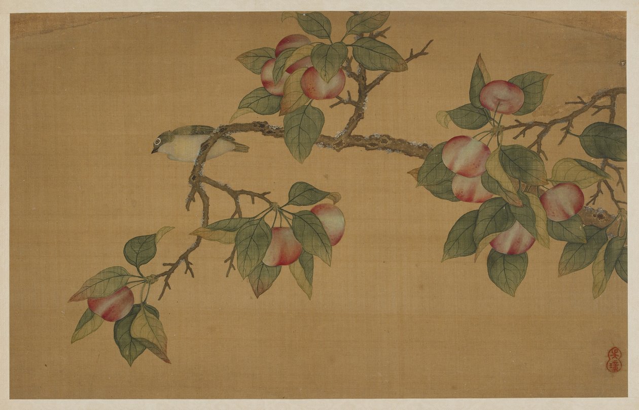 鸟和水果，清代，1741年。 作者 吴章