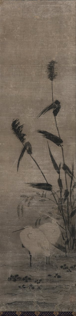 两只苍鹭 作者 山口雪景